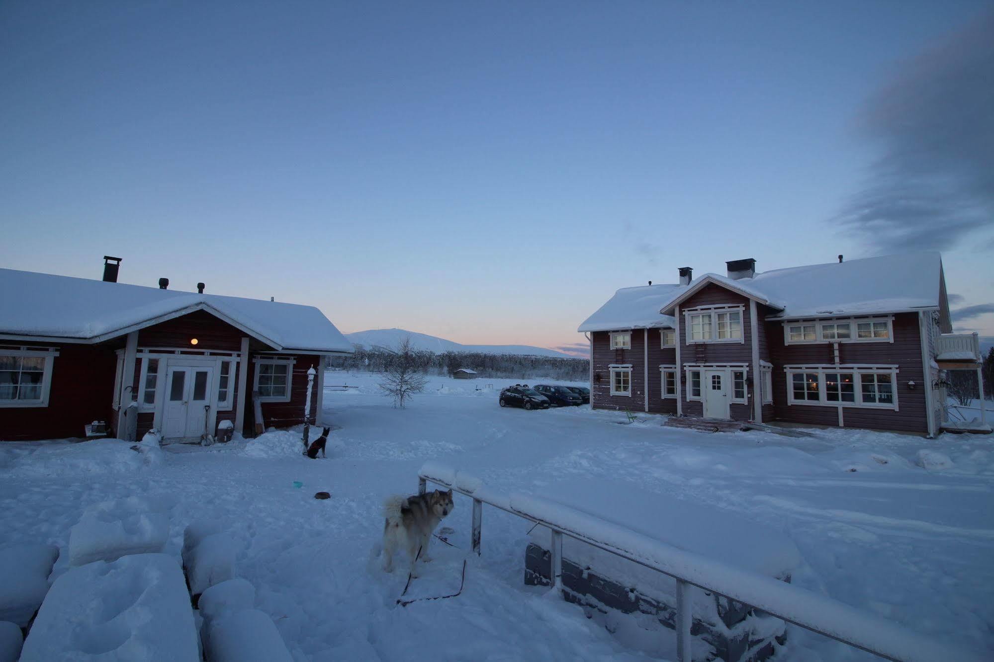 Aurora Estate Hotel Yllasjarvi Luaran gambar